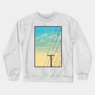 Birds on the Wires Crewneck Sweatshirt